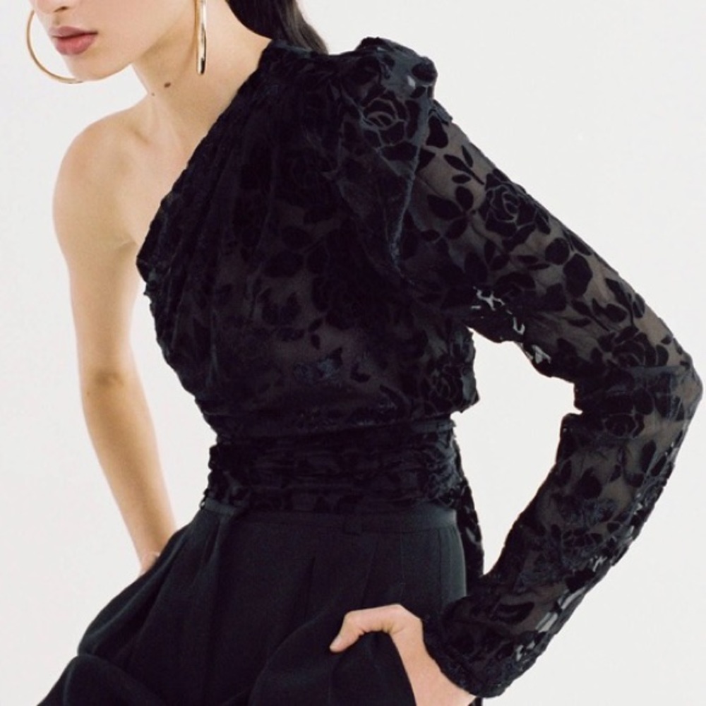 NWT Lioness One Sleeve Velvet Lace Crop Top